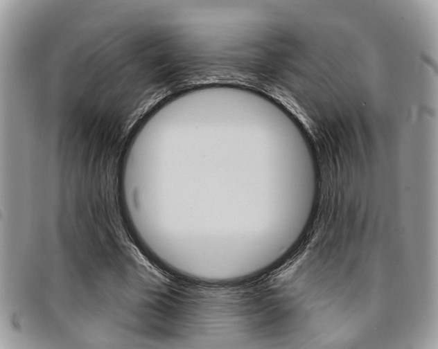 X0000096150585200801180831