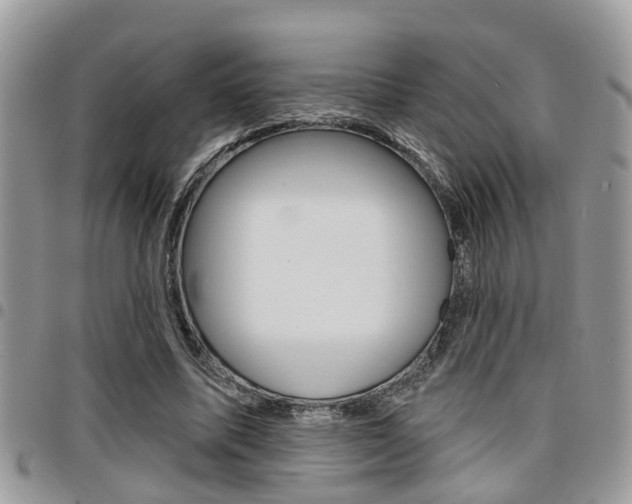 X0000096150587200801180831