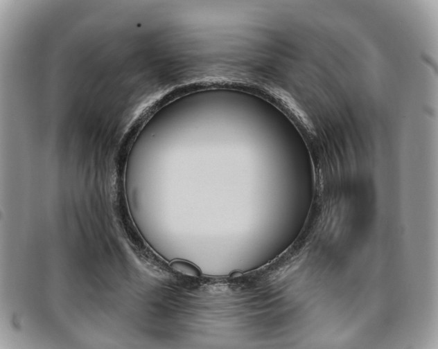 X0000096150588200801180831