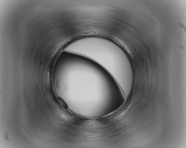 X0000096150589200801180831