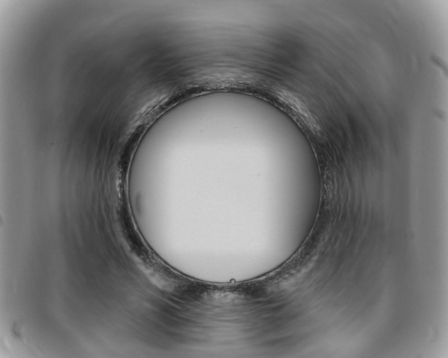 X0000096150590200801180831