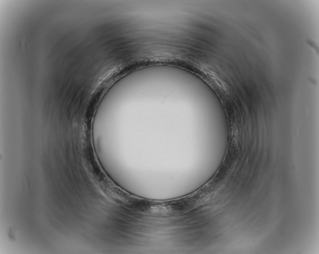X0000096150591200801180831