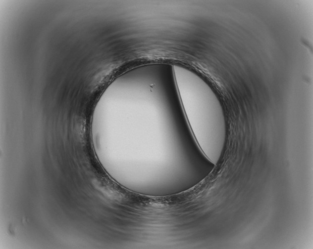 X0000096150592200801180831