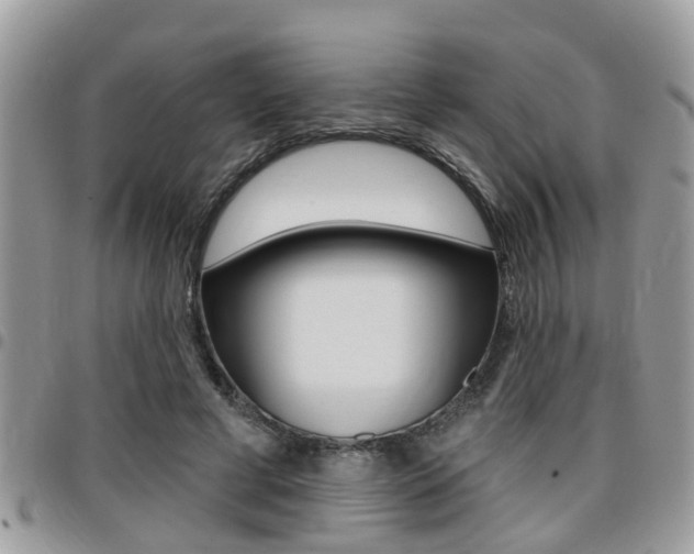 X0000096150593200801180831