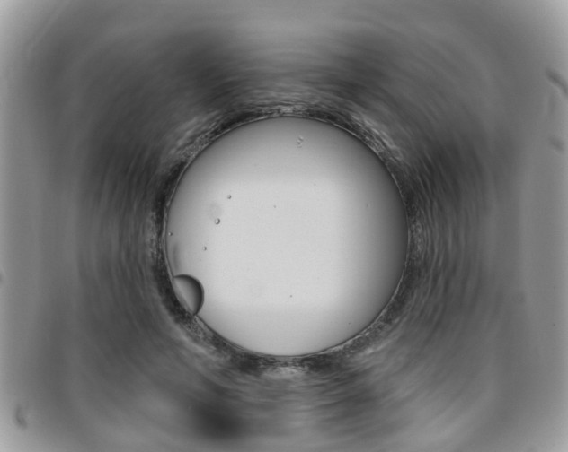 X0000096150594200801180831
