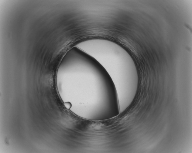 X0000096150595200801180831