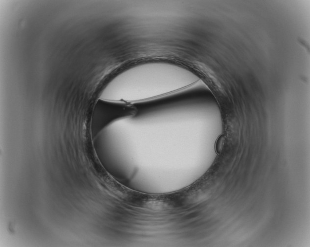 X0000096150596200801180831