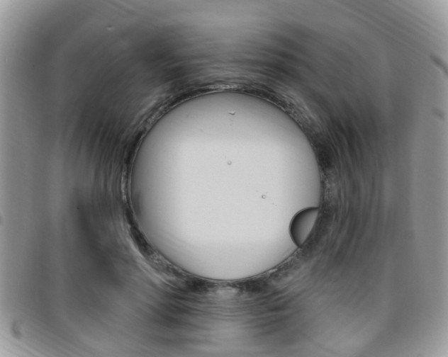 X0000096150598200801180831