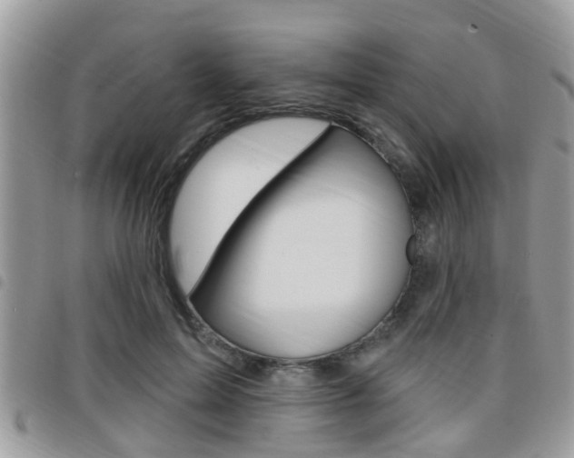 X0000096150599200801180831