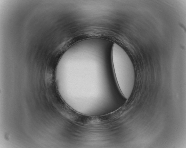 X0000096150600200801180831