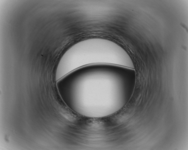 X0000096150601200801180831