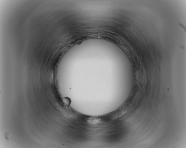 X0000096150602200801180831