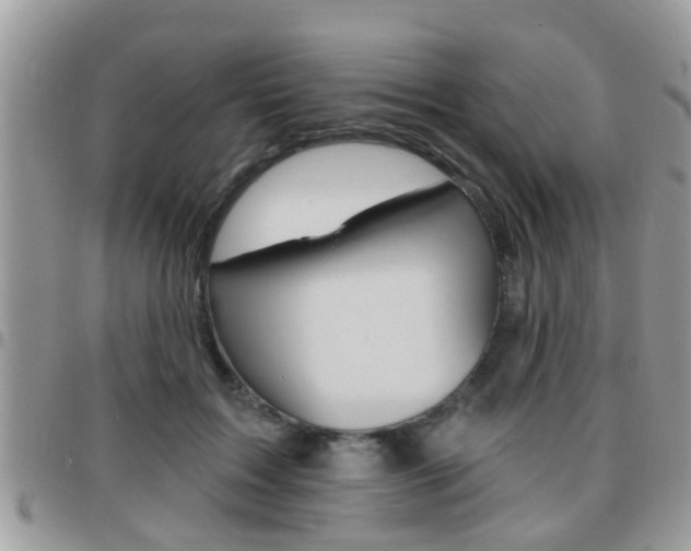 X0000096150603200801180831