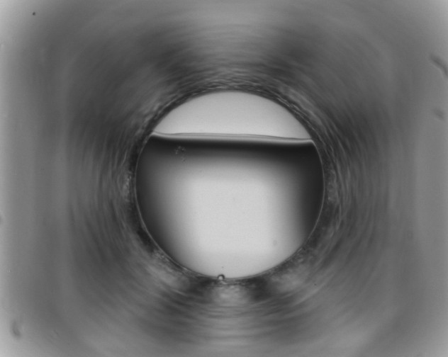 X0000096150604200801180831