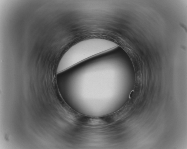 X0000096150605200801180831