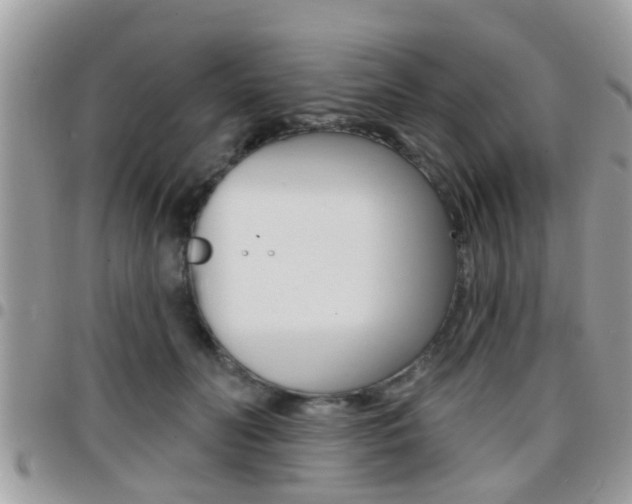 X0000096150606200801180831