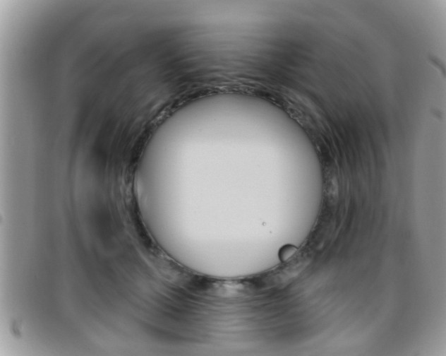 X0000096150607200801180831