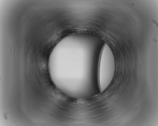 X0000096150608200801180831