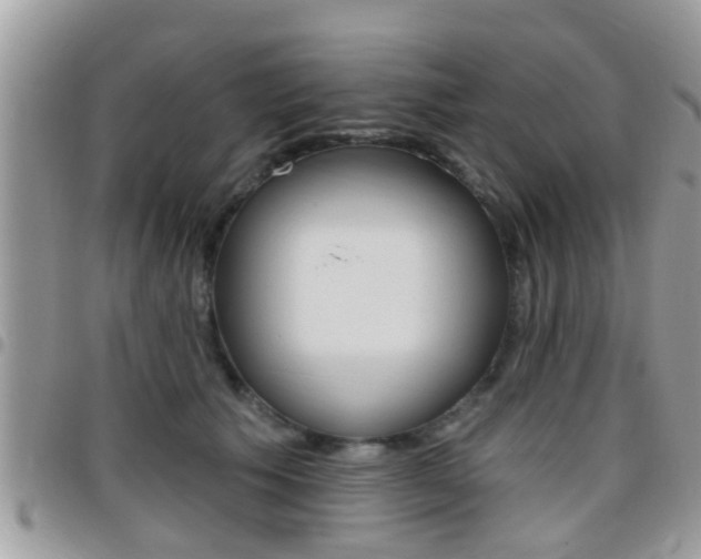 X0000096150609200801180831