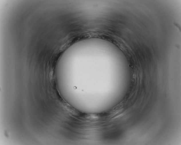 X0000096150610200801180831