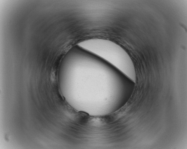 X0000096150611200801180831