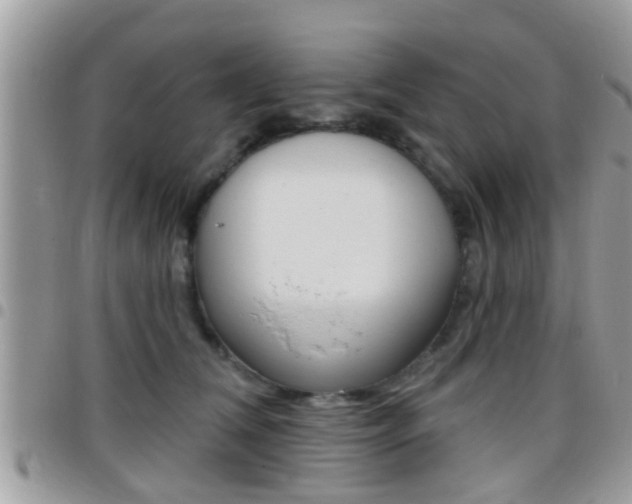 X0000096150612200801180831