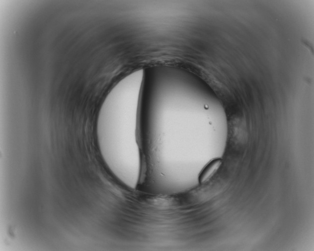 X0000096150615200801180831