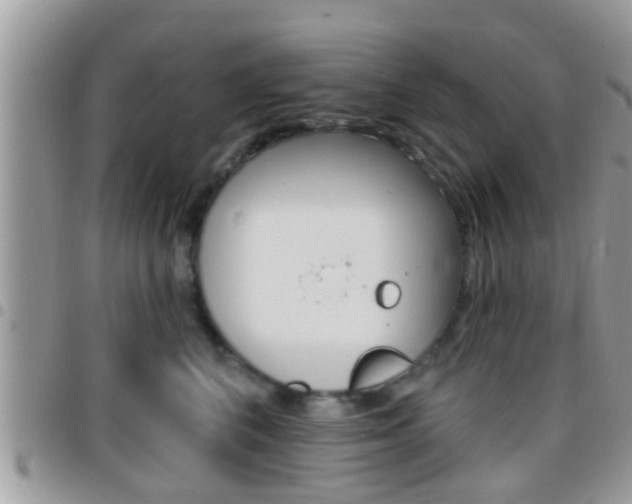 X0000096150616200801180831