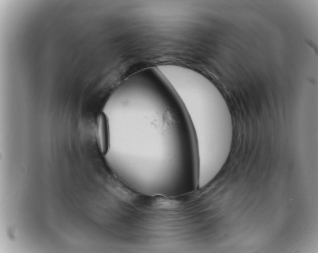 X0000096150617200801180831