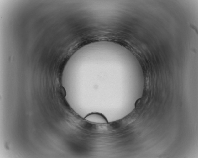 X0000096150618200801180831