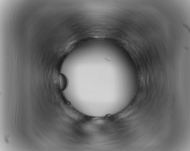 X0000096150620200801180831
