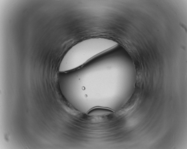 X0000096150623200801180831