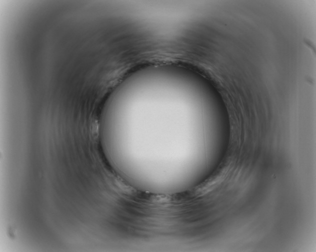 X0000096150624200801180831