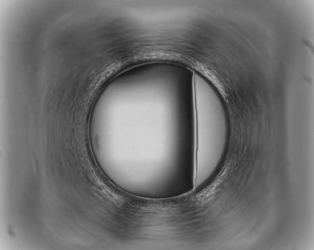 X0000096150625200801180830