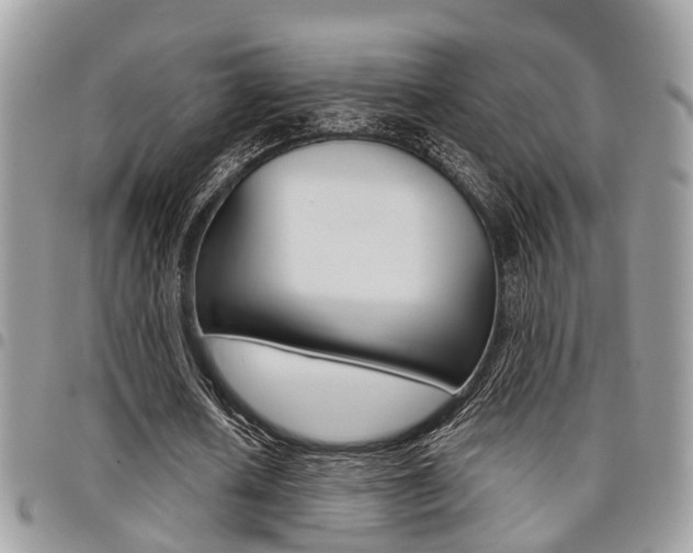 X0000096150626200801180830