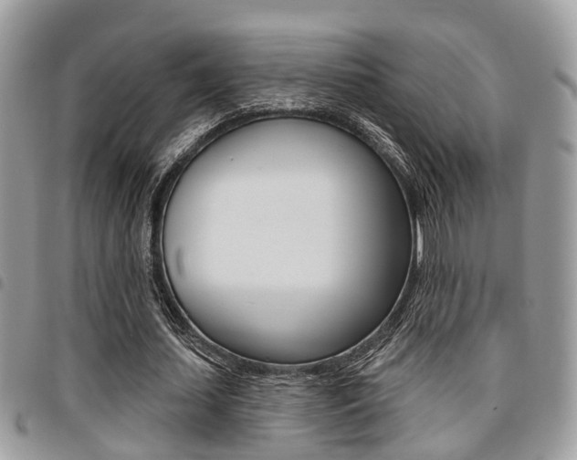 X0000096150627200801180830