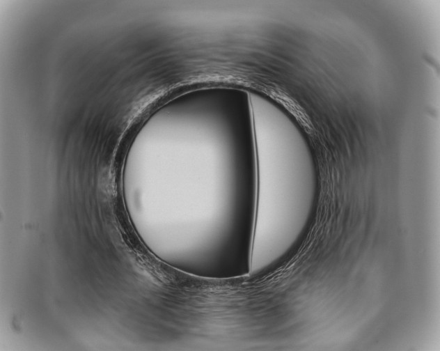 X0000096150628200801180830