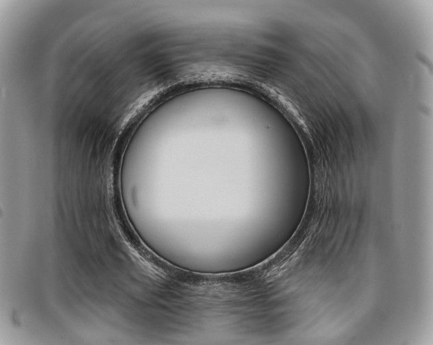 X0000096150629200801180830