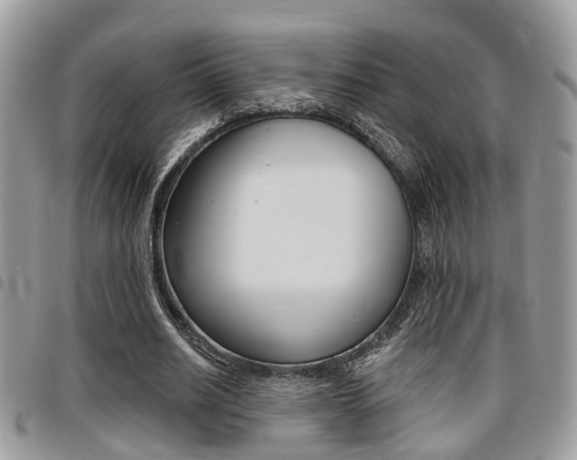 X0000096150630200801180830