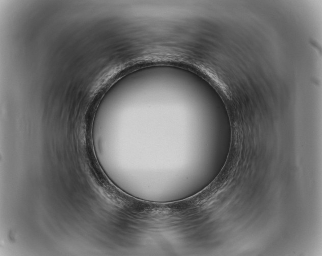 X0000096150631200801180830