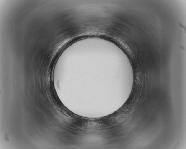 X0000096150632200801180830