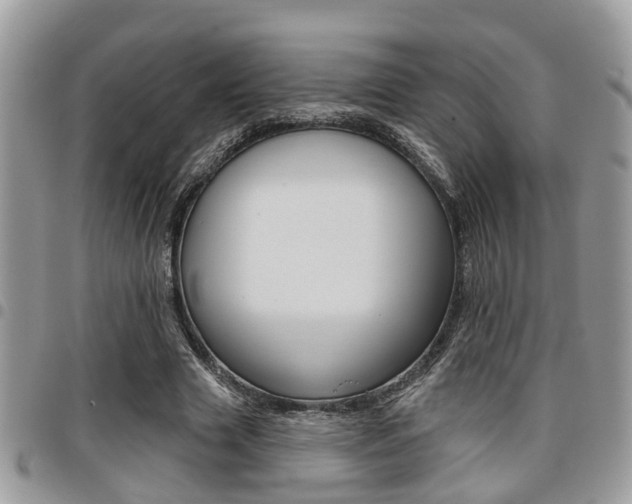 X0000096150633200801180830
