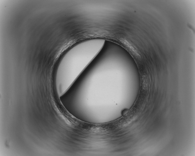 X0000096150634200801180830