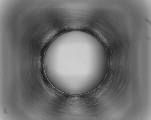 X0000096150635200801180830