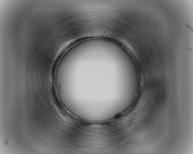 X0000096150636200801180830