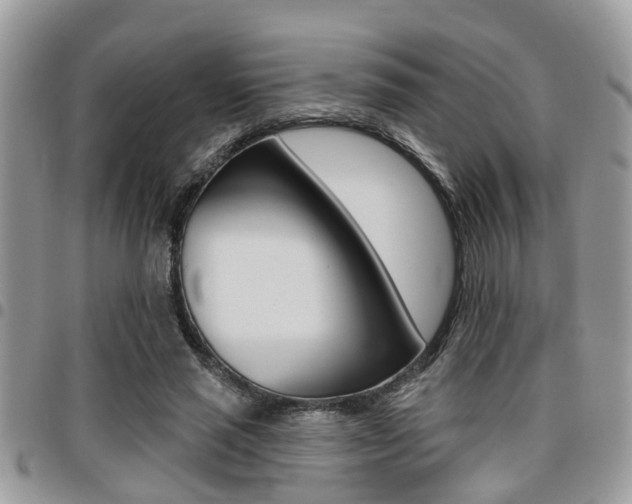 X0000096150637200801180830