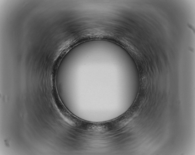 X0000096150638200801180830