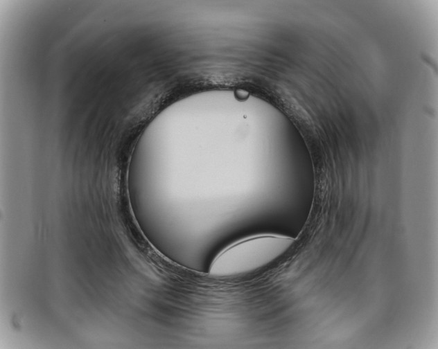 X0000096150639200801180830