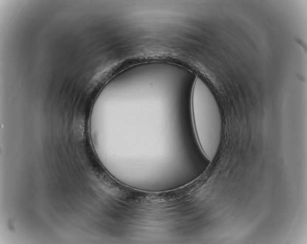 X0000096150640200801180830