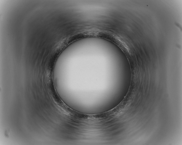 X0000096150641200801180830